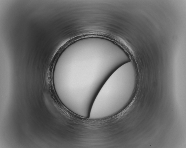 X0000116890875200912221002