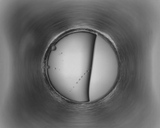 X0000116890879200912221002