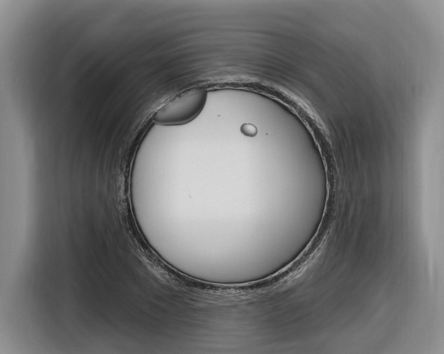 X0000116890881200912221002
