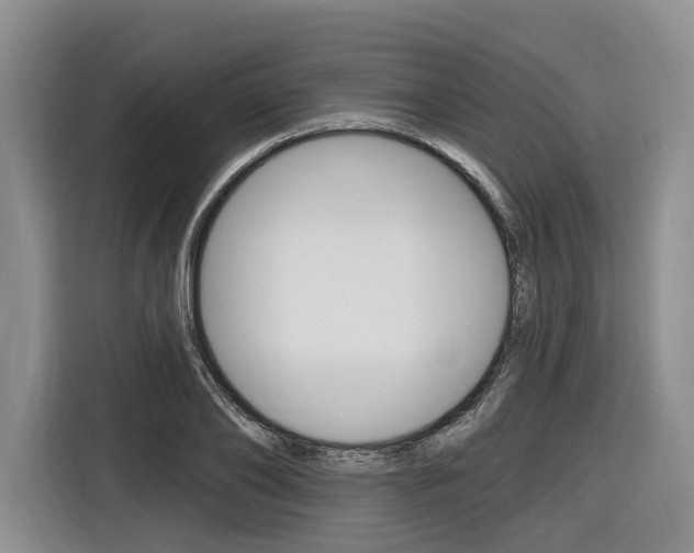 X0000116890886200912221002