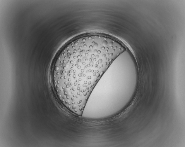 X0000116890887200912221002