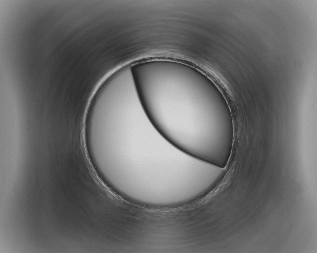 X0000116890888200912221002