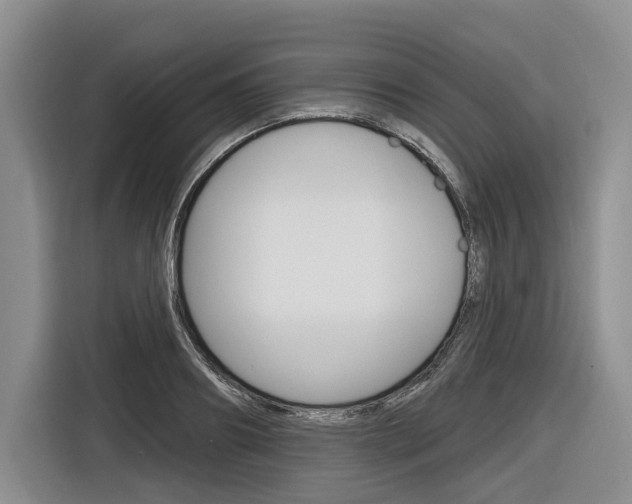 X0000116890890200912221002