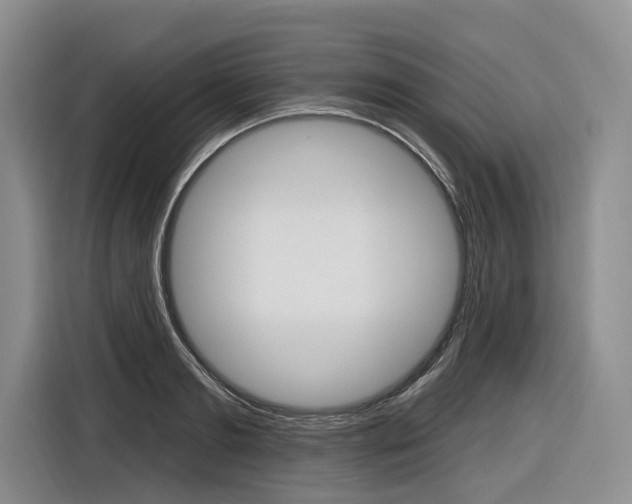X0000116890893200912221002