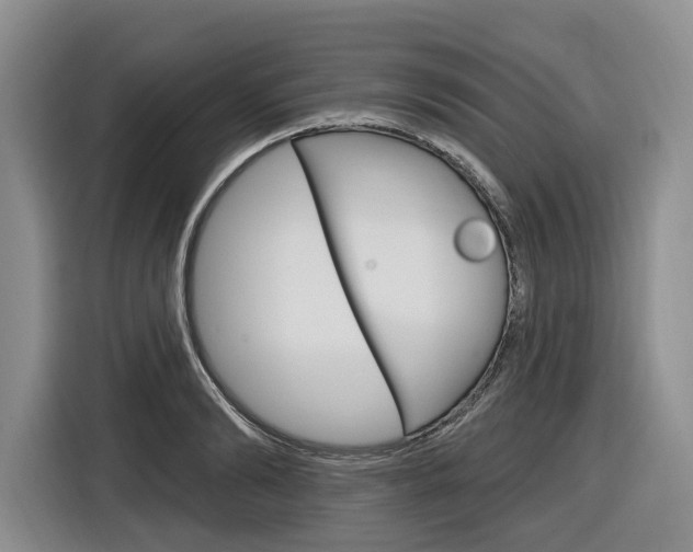 X0000116890894200912221002