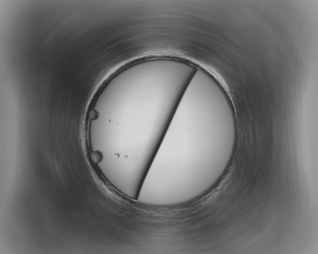 X0000116890895200912221002
