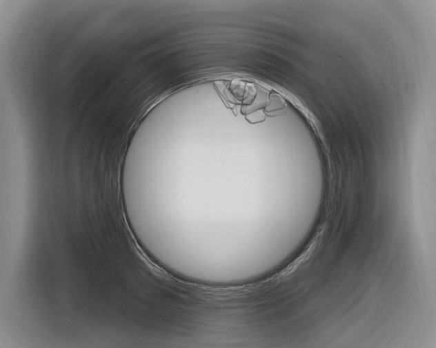 X0000116890897200912221002