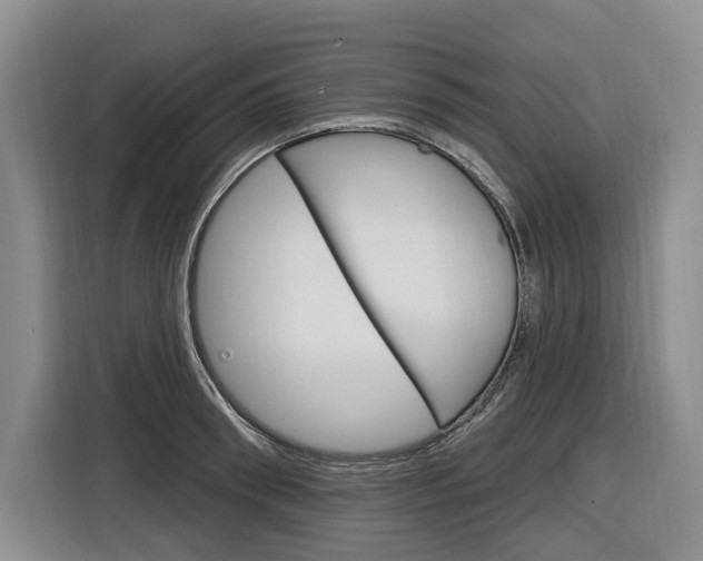 X0000116890898200912221002