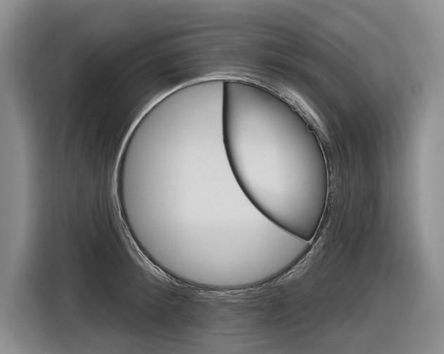 X0000116890900200912221002