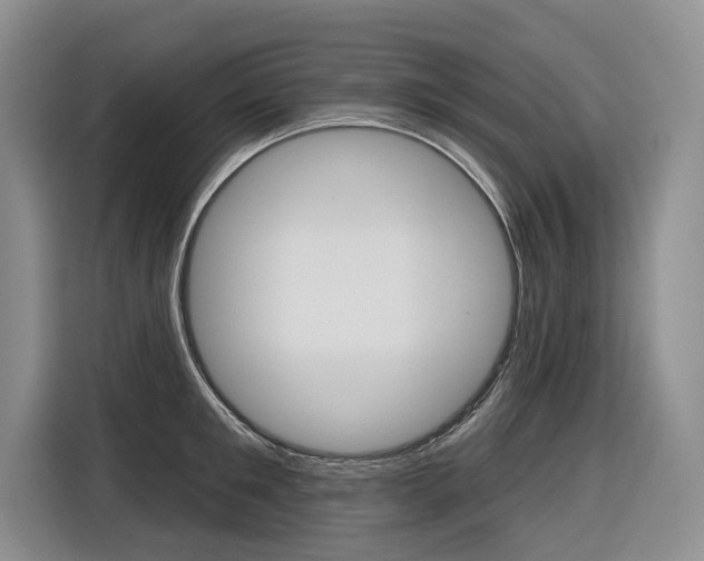 X0000116890901200912221002