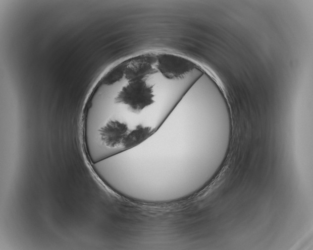 X0000116890903200912221002