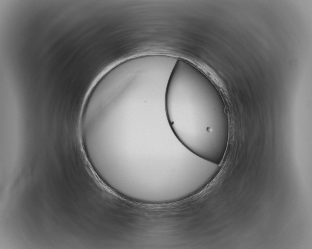 X0000116890904200912221002