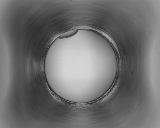 X0000116890905200912221002