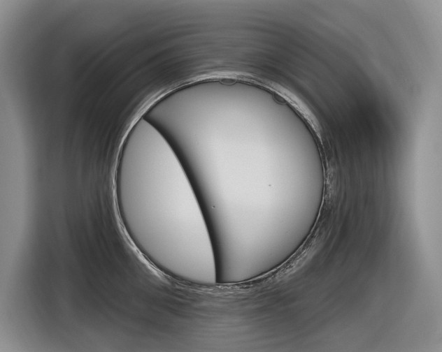 X0000116890906200912221002