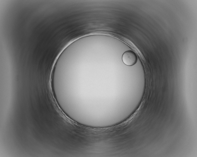 X0000116890908200912221002