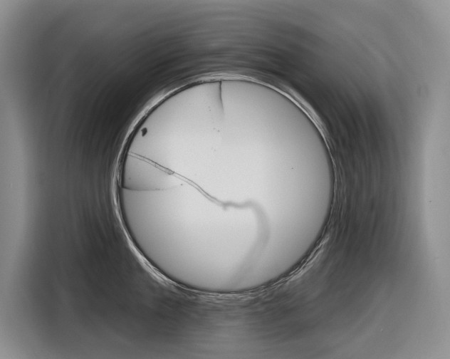 X0000116890909200912221002