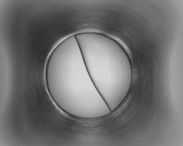 X0000116890910200912221002