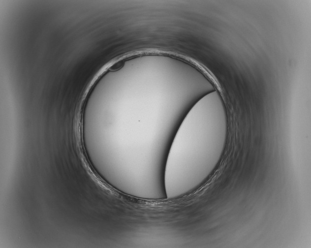 X0000116890911200912221002