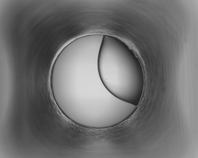 X0000116890912200912221002