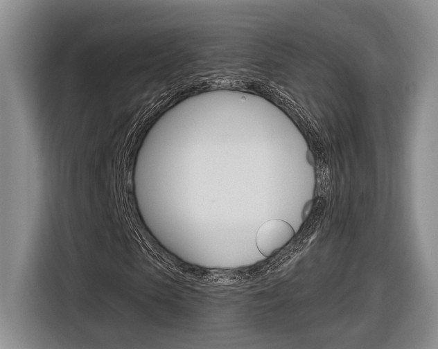 X0000116890913200912221001