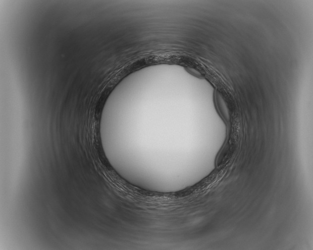 X0000116890914200912221001