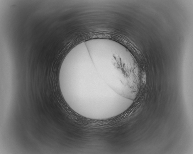 X0000116890915200912221001