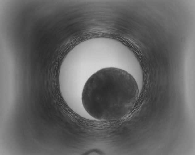 X0000116890917200912221001