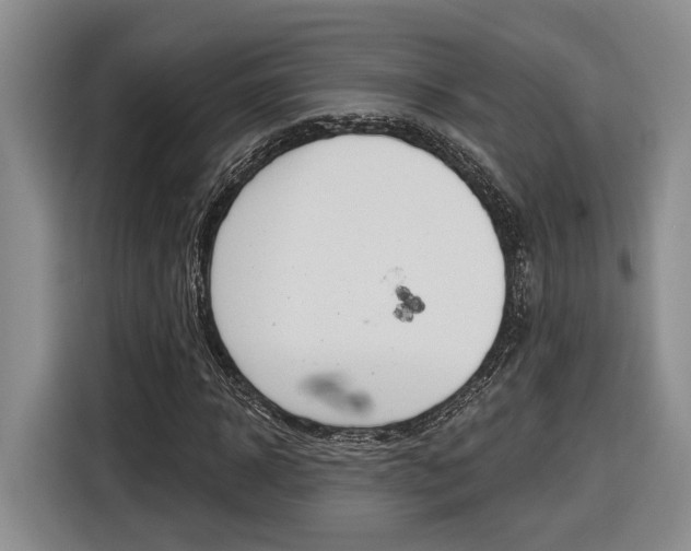 X0000116890918200912221001