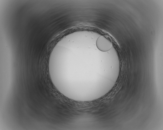 X0000116890919200912221001