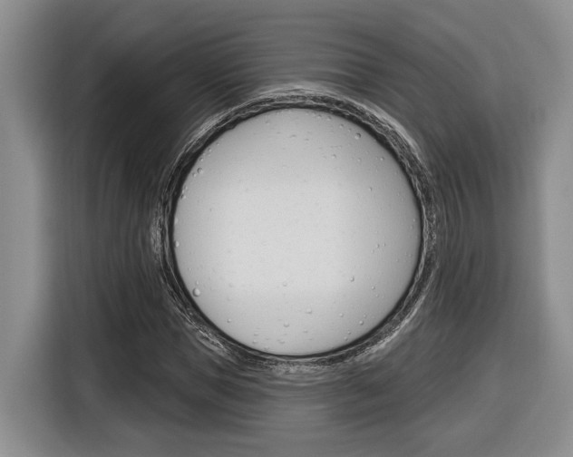 X0000116890921200912221001