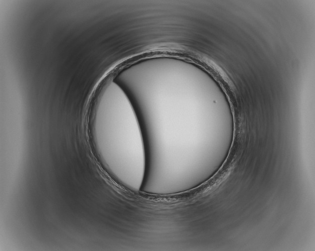 X0000116890923200912221001