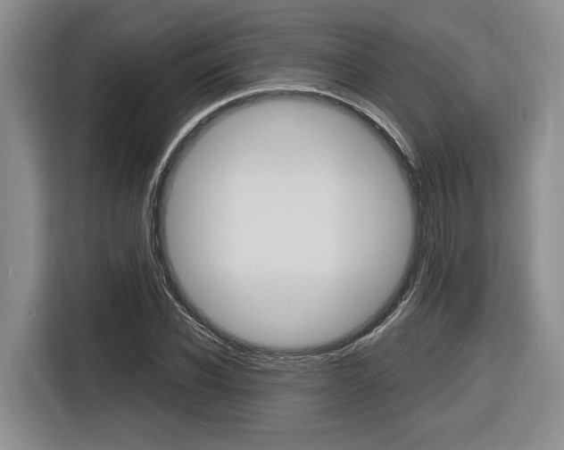 X0000116890926200912221001