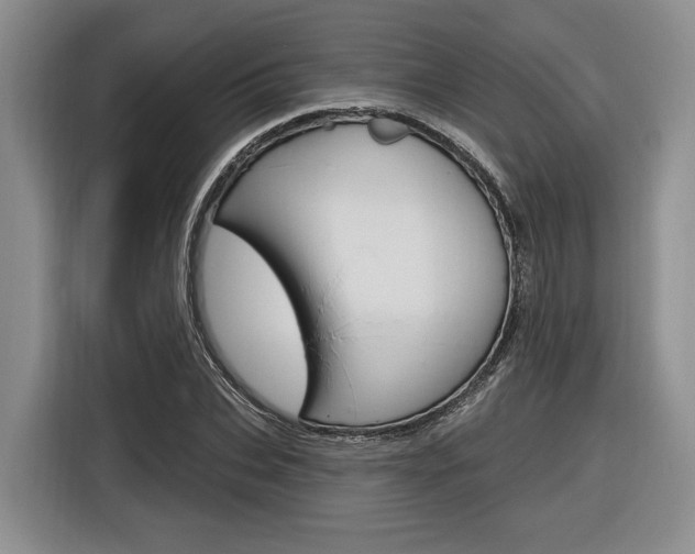 X0000116890927200912221001