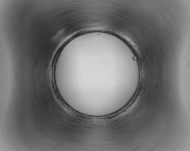 X0000116890933200912221001