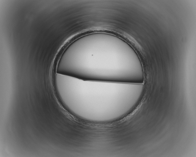 X0000116890934200912221001