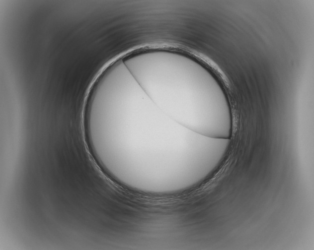 X0000116890935200912221001