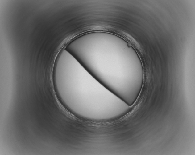 X0000116890938200912221001