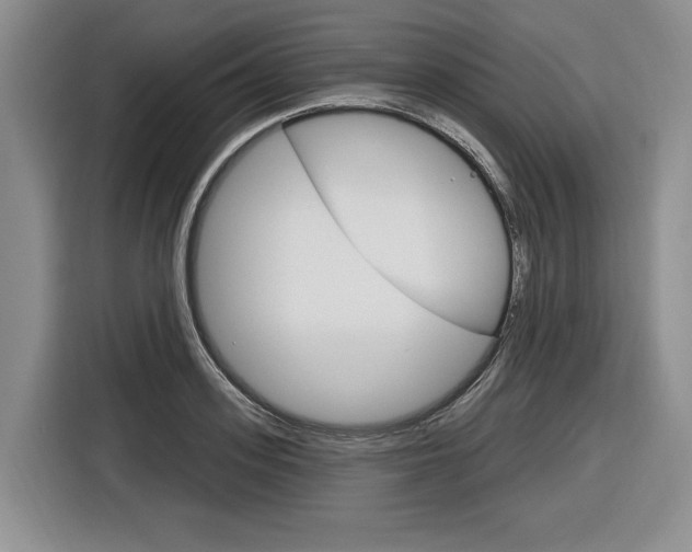 X0000116890939200912221001