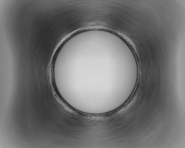 X0000116890941200912221001