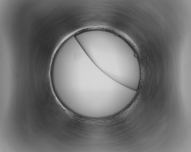 X0000116890943200912221001