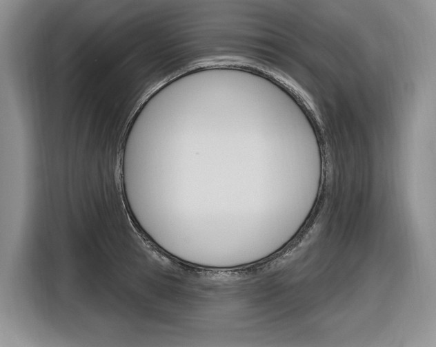X0000116890945200912221001