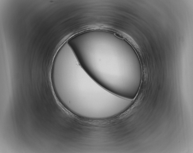 X0000116890946200912221001