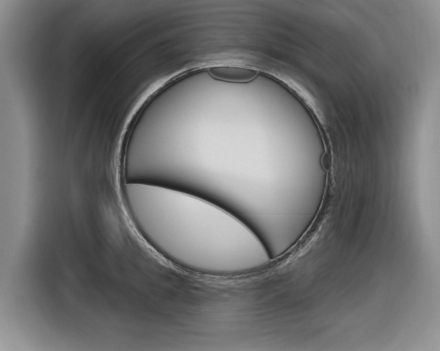 X0000116890949200912221001