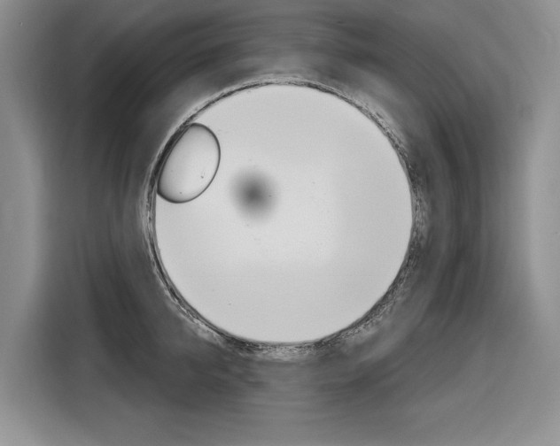 X0000116890950200912221001
