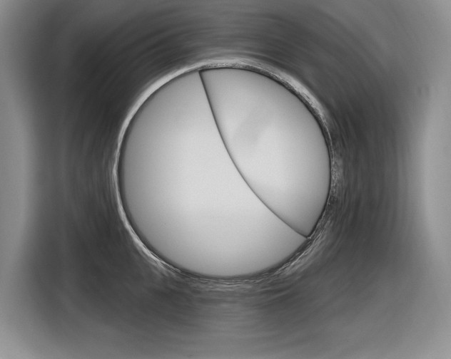 X0000116890951200912221001