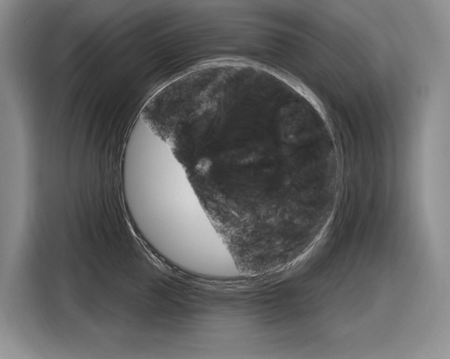 X0000116890953200912221001