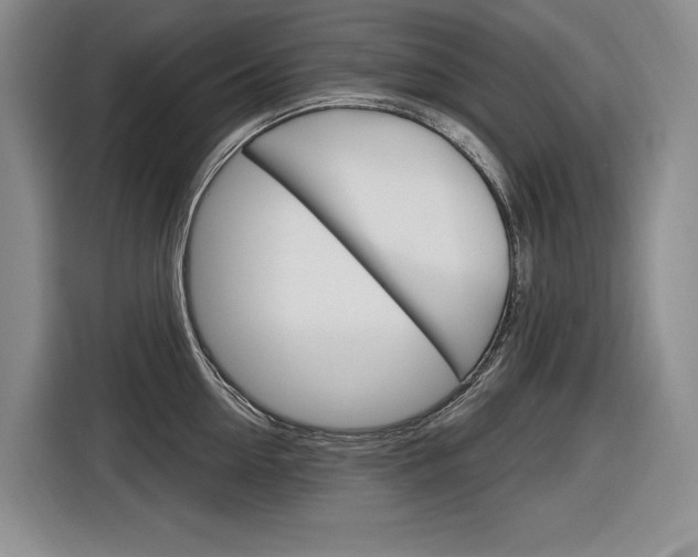 X0000116890954200912221001
