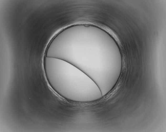 X0000116890958200912221002
