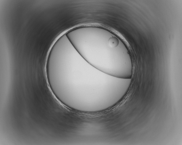 X0000116890959200912221002