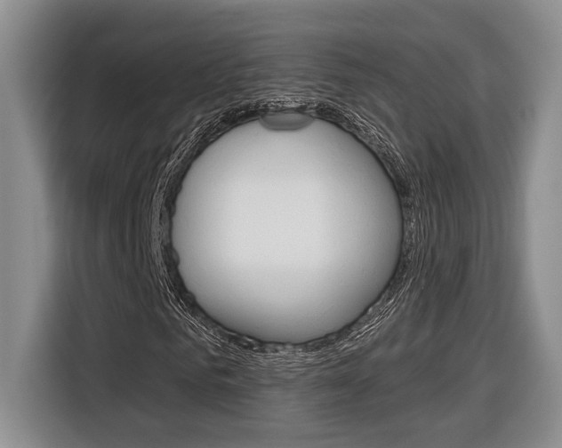 X0000116890961200912221001